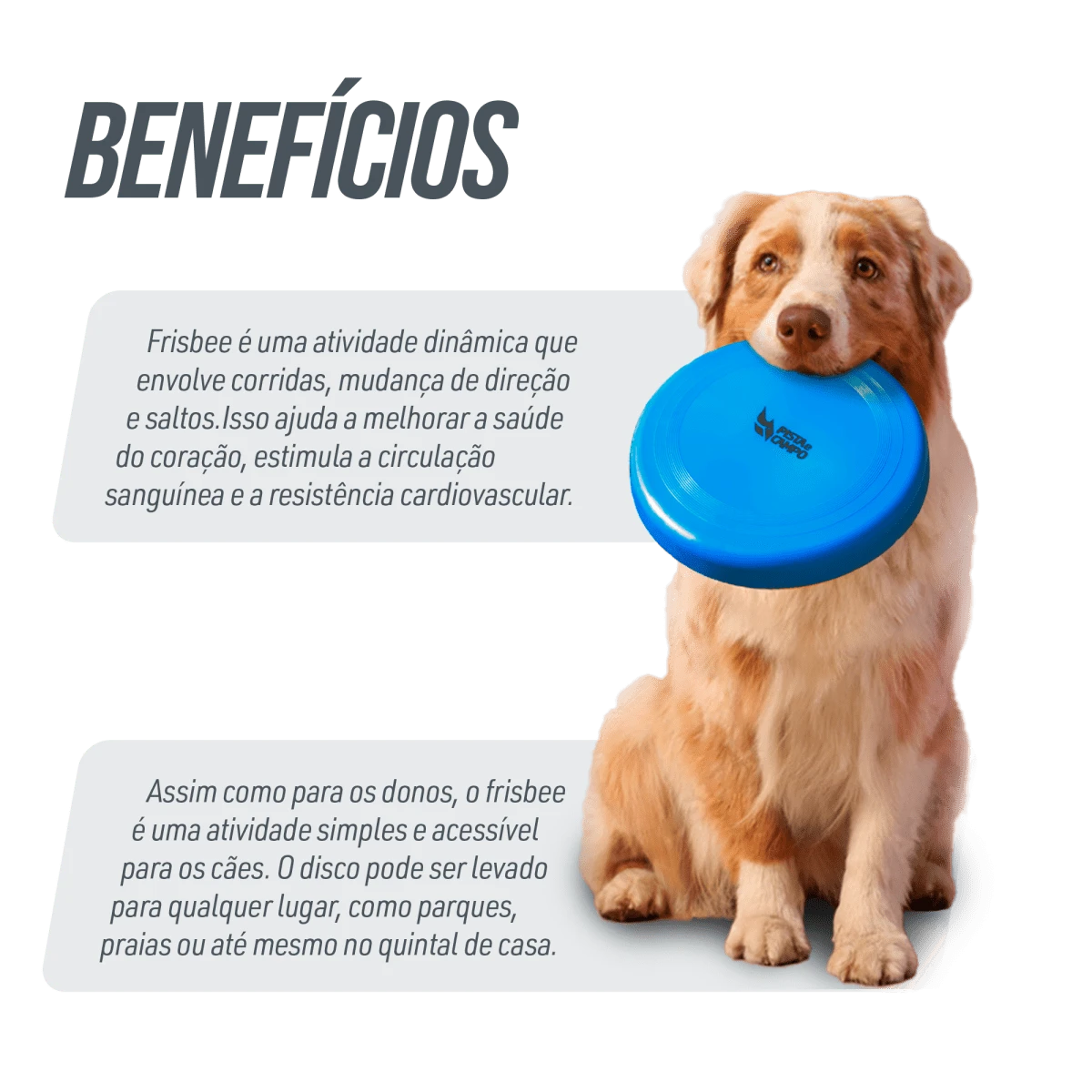 Frisbee de plástico para recreação 22cm econômico Pista e Campo Cor Azul