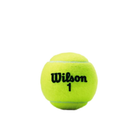 Bola de Tênis Wilson Championship Extra Duty Tubo 3un