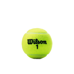 Bola de Tênis Wilson Championship Extra Duty Tubo 3un