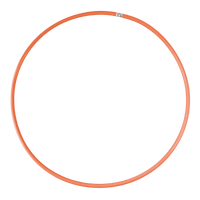 Arco Bambolê Infantil Plástico Avulso Colorido 63 e 75cm Reises