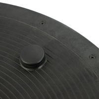 Bosu Meia Bola Inflável 60cm Uso Profissional Alças E Bomba