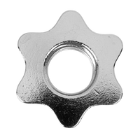 Par de Presilhas Rosca 28mm para Barra Musculação Envolst