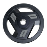 Anilha Olímpica com Anel de Metal 20Kg Envolst