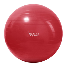 Bola de Pilates Gym Ball 55cm Antiestouro com Bomba Pista e Campo