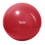 Bola de Pilates Gym Ball 55cm Antiestouro com Bomba Pista e Campo