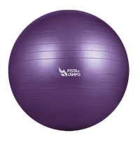 Bola de Pilates Gym Ball 55cm Antiestouro com Bomba Pista e Campo