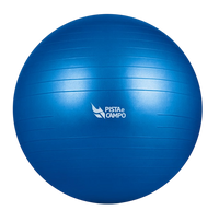 Bola de Pilates Gym Ball 55cm Antiestouro com Bomba Pista e Campo