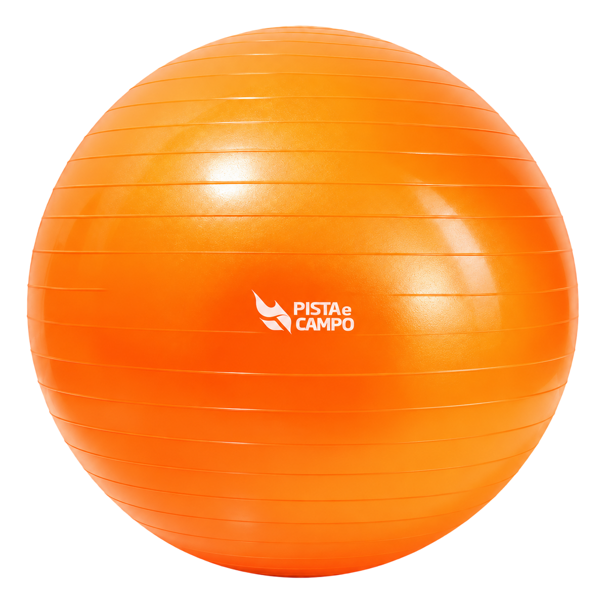 Bola de Pilates Gym Ball 65cm Antiestouro com Bomba Pista e Campo