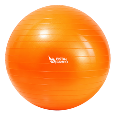 Bola de Pilates Gym Ball 65cm Antiestouro com Bomba Pista e Campo