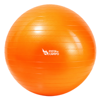Bola de Pilates Gym Ball 75cm Antiestouro com Bomba Pista e Campo