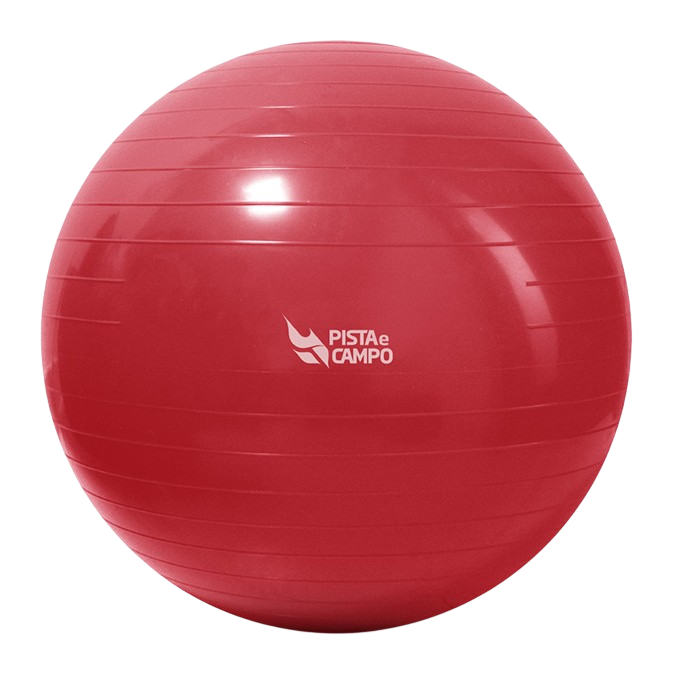 Bola de Pilates Gym Ball 75cm Antiestouro com Bomba Pista e Campo