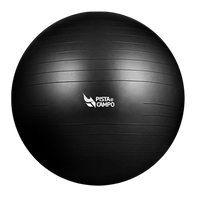 Bola de Pilates Gym Ball 75cm Antiestouro com Bomba Pista e Campo