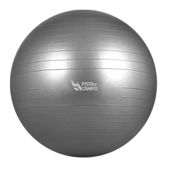 Bola de Pilates Gym Ball 75cm Antiestouro com Bomba Pista e Campo