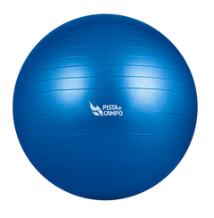 Bola de Pilates Gym Ball 75cm Antiestouro com Bomba Pista e Campo