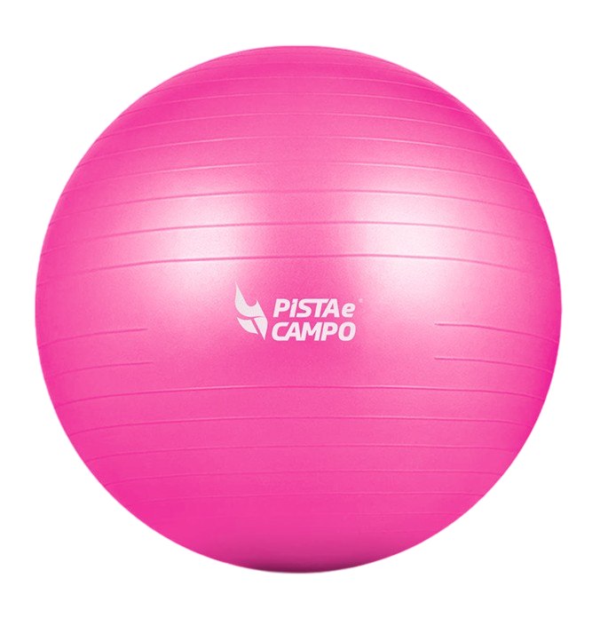 Bola de Pilates Gym Ball 75cm Antiestouro com Bomba Pista e Campo