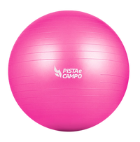 Bola de Pilates Gym Ball 75cm Antiestouro com Bomba Pista e Campo