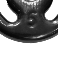 Anilha vazada revestida 5kg Pista e Campo