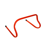 Barreirinha 25cm Laranja