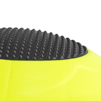 Disco de Equilíbrio Rígido Profissional com alças Envolst