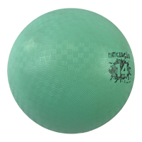 Bola de iniciação infantil nº 14 Velden