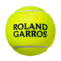 Bolinha/bola de tênis de campo Roland Garros Wilson - tubo com 3 und