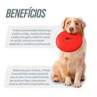 Frisbee de plástico para recreação Neofun - Verde