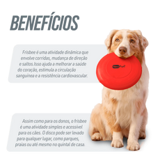 Frisbee de plástico para recreação Neofun - Verde