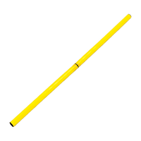 Kit de Agilidade c/ 8 Cones Furados 23cm e 4 Haste de 1,00m - Cone BRANCO