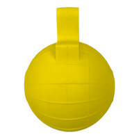 Pelota de PVC 800g Pista e Campo