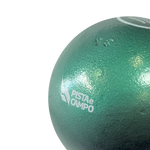 Peso de ferro 3kg Pista e Campo