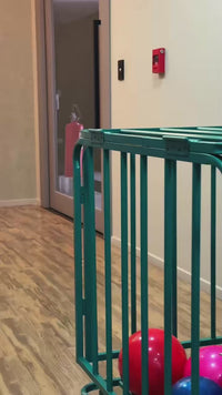 Stories de Carrinho para Bolas em Aço para Armazenamento e Transporte Velden