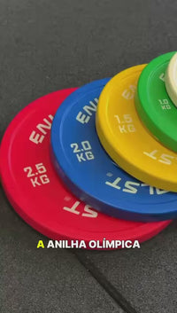 Stories de Anilha Olímpica Fracionada Colorida 0,5kg Envolst