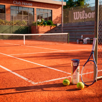 Bolinha/bola de tênis de campo Roland Garros Wilson - tubo com 3 und