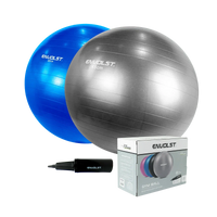 Bola Suíça Gym Ball 65cm Anti Estouro Envolst - Cinza