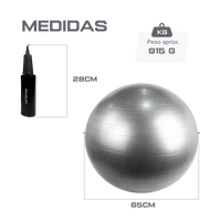 Bola Suíça Gym Ball 65cm Anti Estouro Envolst - Cinza