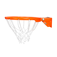Aro 45cm Profissional de Basquete com Amortecedor Velden