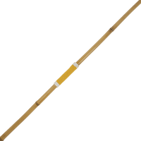 Dardo de bambu especial 400g Pista e Campo