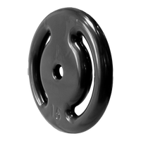 Anilha vazada revestida 15kg Pista e Campo