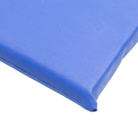 Colchonete de ginástica D20 0,95 x 0,44 x 0,03m Envolst - Azul