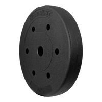 Anilha Emborrachada 10Kg Cement Furo 31mm Envolst