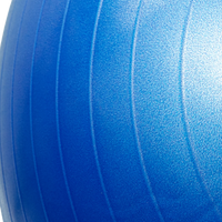 Bola Suíça Gym Ball 55cm Anti Estouro Envolst - Cinza