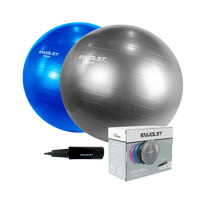 Bola Suíça Gym Ball 55cm Anti Estouro Envolst - Cinza