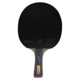 Raquete de tenis de mesa 6 estrelas Storm 