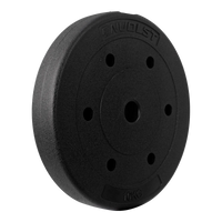 Anilha Emborrachada 10Kg Cement Furo 31mm Envolst