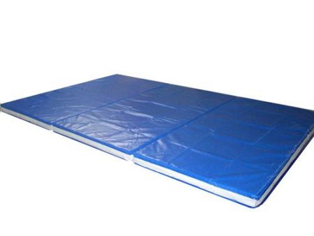 Colchão tipo Sarneige 1,90 x 1,25 x 0,06m D100 Pista e Campo